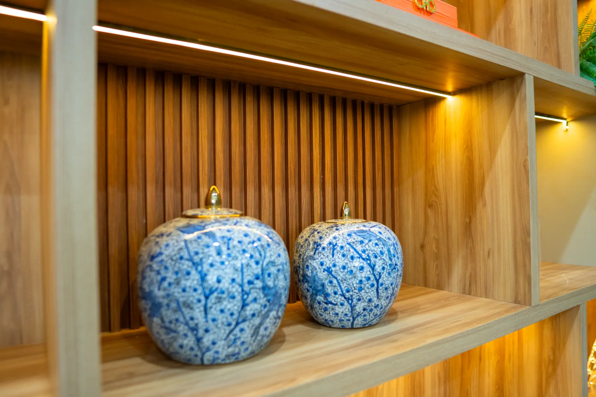 Interior da loja Espaço Home Decor com vasos, plantas e móveis
